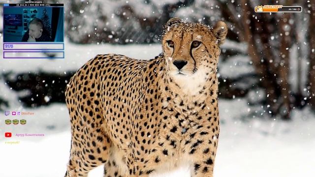 Калибруемся🎮Заходи, тебе тут рады🙃 смотреть онлайн