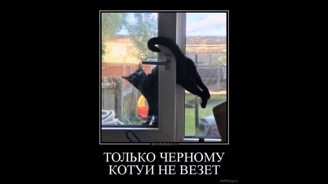 Прикольные фото и демотиваторы под музыку, часть 1 смотреть онлайн