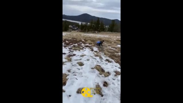 ШОК! ПРИКОЛЫ 2020 / НОВАЯ ПОДБОРКА ПРИКОЛОВ / 11 МИНУТ СМЕХА / ВИДЕО ПОДБОР смотреть онлайн