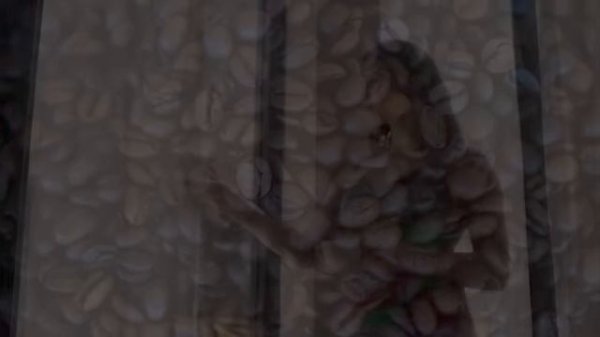 Lesson 47. whatever, wherever, however....