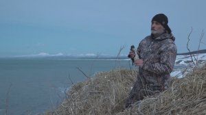 Погоня за белоплечим призраком.