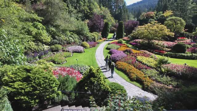 САДЫ КАНАДЫ ЗНАМЕНИТЫЕ САДЫ БУТЧАРТОВ  (The Butchart Gardens) с ночной иллюминацией