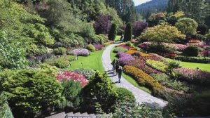 САДЫ КАНАДЫ ЗНАМЕНИТЫЕ САДЫ БУТЧАРТОВ  (The Butchart Gardens) с ночной иллюминацией