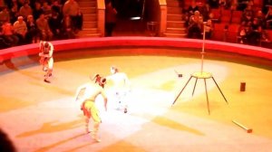 Гимнасты в цирке