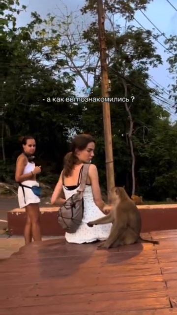 Знакомство смотреть онлайн