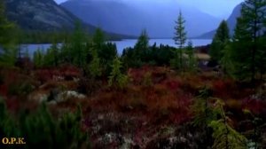 НА КОЛЫМЕ,ГДЕ ТУНДРА И ТАЙГА КРУГОМ