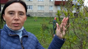 Жарю гренки.Обзор покупок с ВБ.
