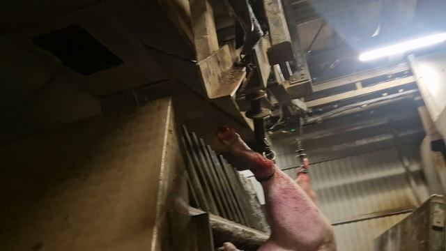 элеватор подвесного пути с бугельным отцепом