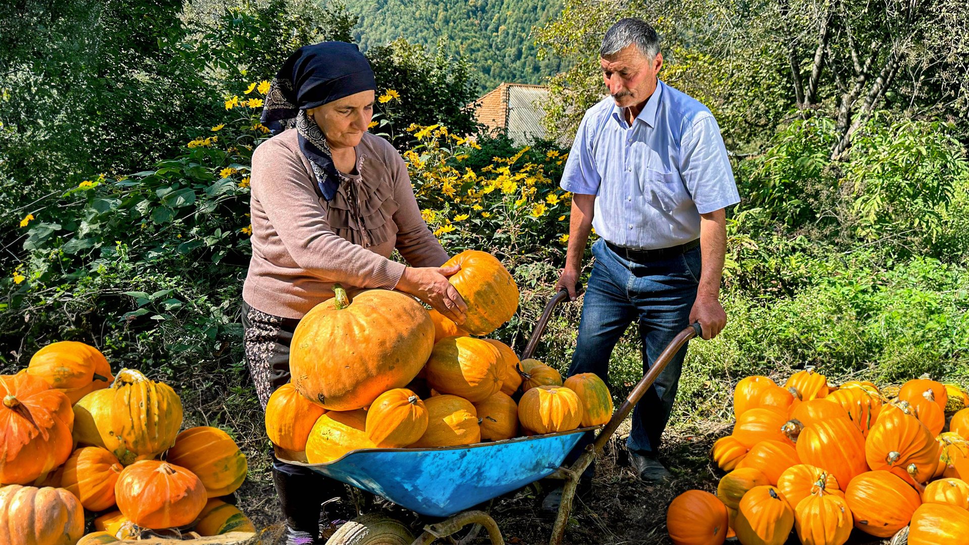 Прямо с грядки на стол: простой деревенский рецепт с тыквой смотреть онлайн