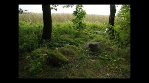 Усадьба Знаменка, Петергоф