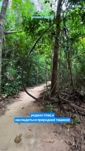 Посещение острова Хонг смотреть онлайн