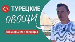 Вы не поверите, пока не увидите👀 Вот такие овощи в Турции