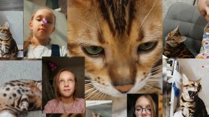 Мой выходной