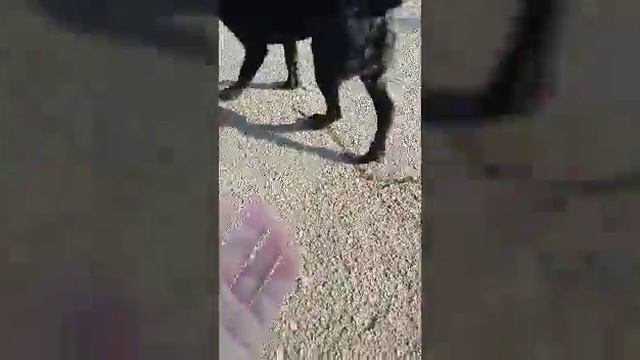 Позитивное видео!!!😊☺😀😆😇 смотреть онлайн
