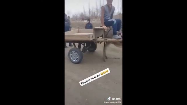 Узбек Прикол 2020 смотреть онлайн