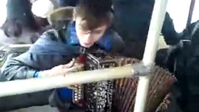 Гармонист отжигает в троллейбусе (Алексей Симонов г. Рязань) смотреть онлайн