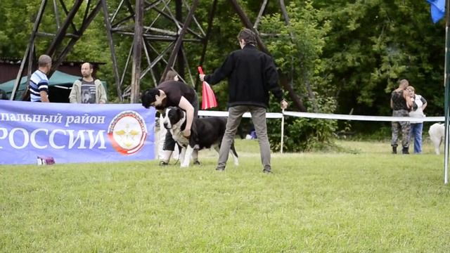 Выставка "Солнцестояние 2013", моно САО, 22.06.13 г. смотреть онлайн