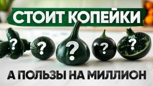 Эти 8 продуктов нужно есть и БОГАТЫМ и БЕДНЫМ, если хотите жить долго