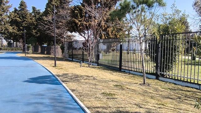 Имеретинка. Сириус. Сочи . Про баланс сил природы и эгрегоры на небольшой прогулке. смотреть онлайн