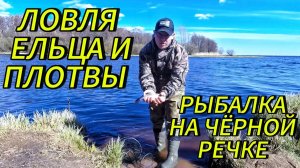 ЛОВЛЯ ЕЛЬЦА И ПЛОТВЫ. РЫБАЛКА НА ЧЁРНОЙ РЕЧКЕ