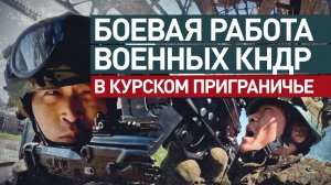 Видео боевой работы военных КНДР в Суджанском районе Курской области
