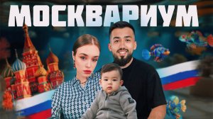 МОСКВАРИУМ |  САМЫЙ БОЛЬШОЙ ОКЕАНАРИУМ В РОССИИ