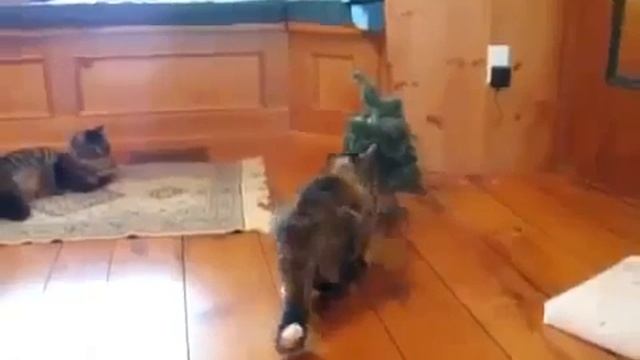 Как ветром сдуло) смотреть онлайн