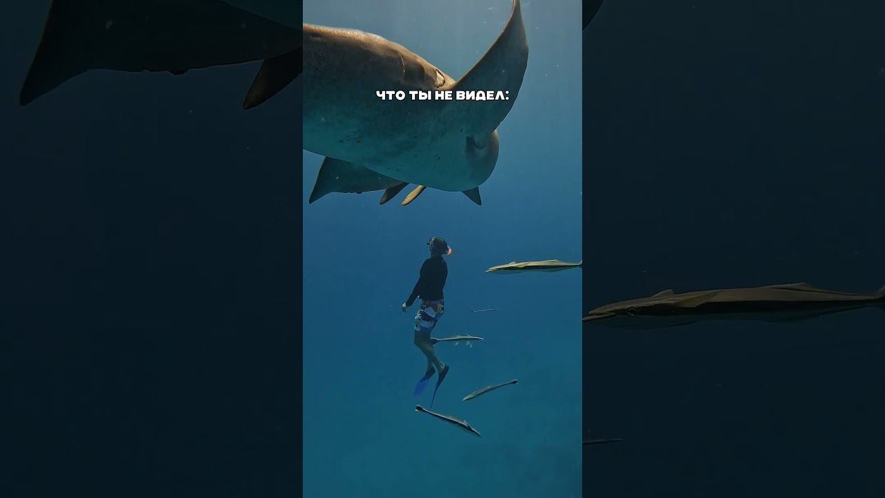 Всё это будет на моем ретрите на Мальдивах 3-10 марта ️Цена: от 1950$