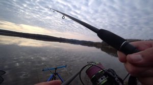 Апрель. Карась на фидер. Приморье 2025.