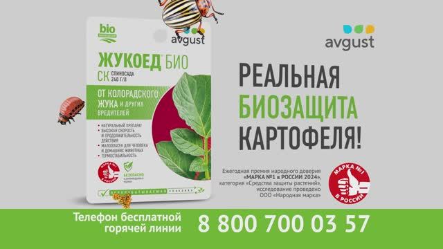 Жукоед БИО - новинка в защите от колорадского жука. смотреть онлайн