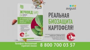 Жукоед БИО - новинка в защите от колорадского жука.