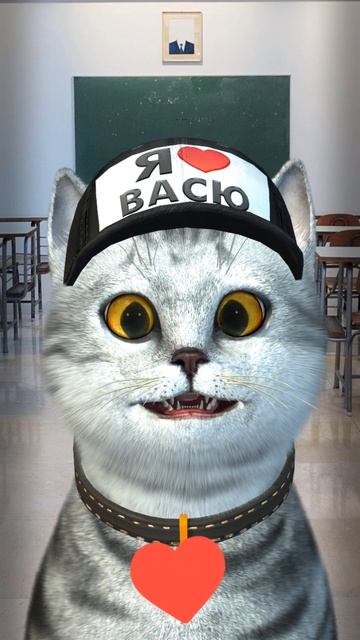КОТОФАКТЫ ОТ ВАСИ ПРО ТВОЙ МОЗГ #приколы #шутки #юмор #анекдот #SHORTS #SHORTS VIDEO смотреть онлайн