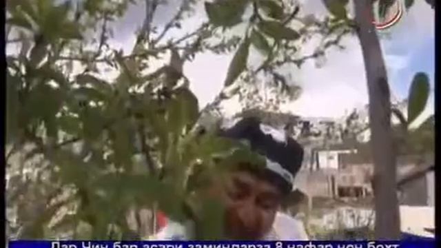 Лахзахои Гуворо Келинди нава ёфтм Таджикский прикол Tajik Joke