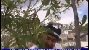 Лахзахои Гуворо Келинди нава ёфтм Таджикский прикол Tajik joke