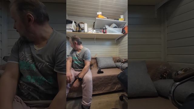 Утро в приюте Хвостатое счастье 🐾 смотреть онлайн