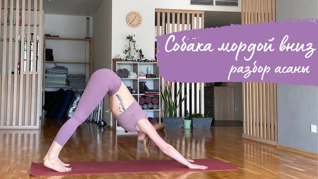 Разбор асаны - собака мордой вниз