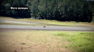 ВИДЕО #20   Джек Краймер Кошмар в лесу