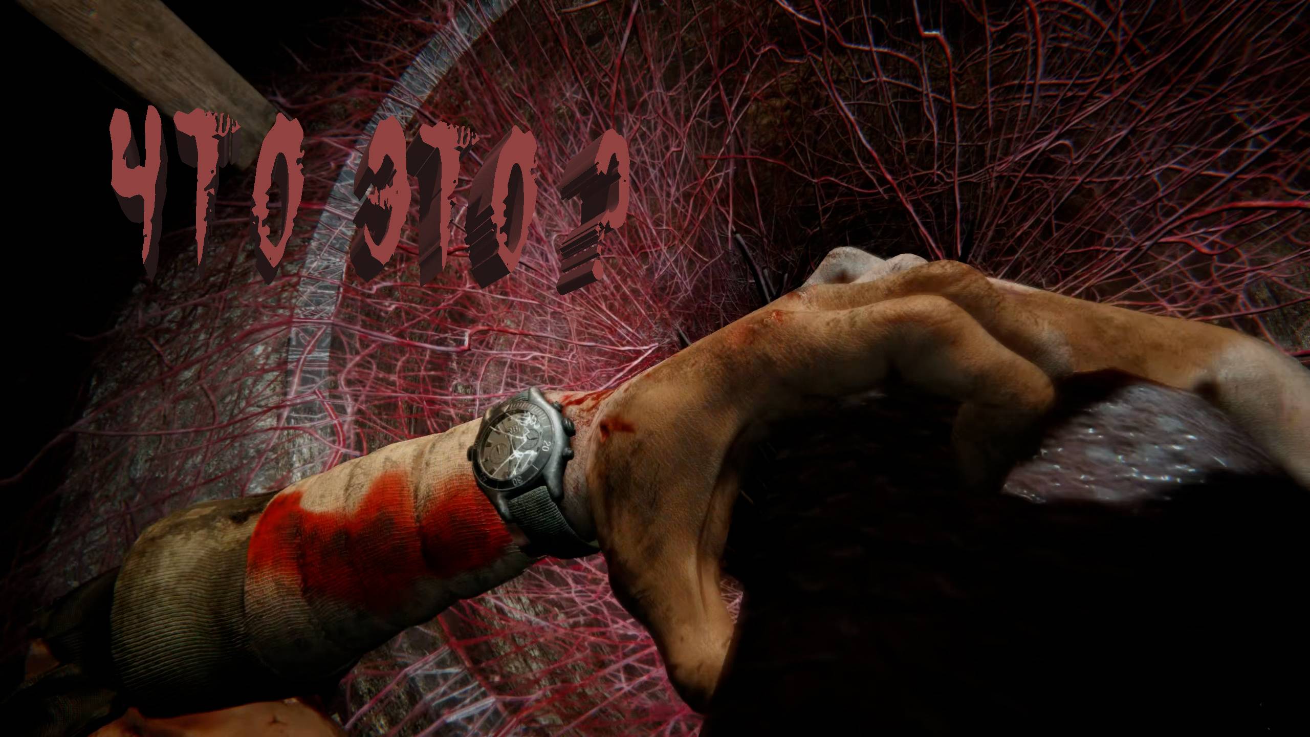 Outlast 2 | ЧТО ЭТО ?