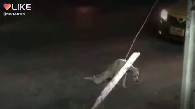 Грустно смешное видео смотреть онлайн