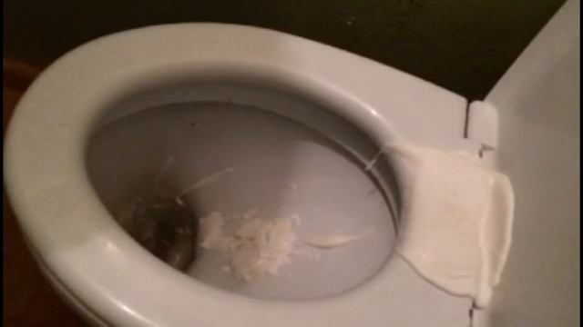 Девушка обосралась после суши!!!(Жесть) смотреть онлайн