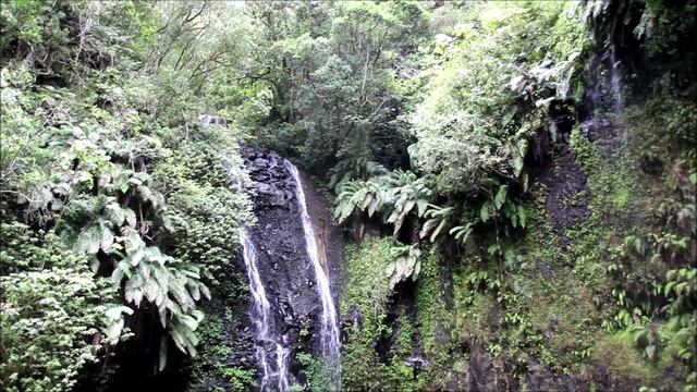 Мадагаскар. Национальный Парк Монтань д'Амбр. смотреть онлайн