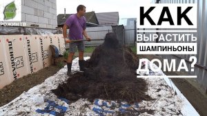 ПОДГОТОВКА КОМПОСТА ДЛЯ ШАМПИНЬОНОВ И ЗАСЕВ МИЦЕЛИЯ