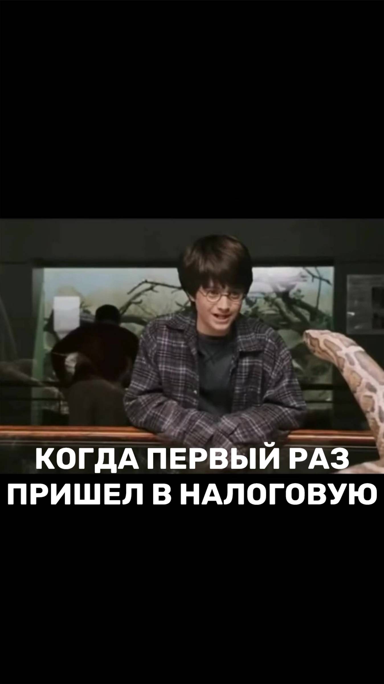 Когда первый раз пришел в налоговую смотреть онлайн