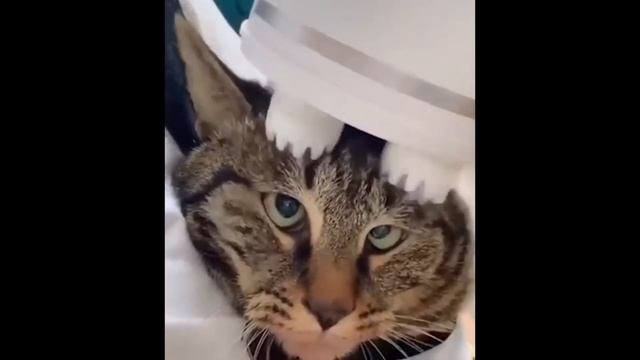 ЛУЧШИЕ ПРИКОЛЫ?!?!?!? ЗАСМЕЯЛСЯ ПОДПИСАЛСЯ!!!!!!!! 9 МИНУТ СМЕХА №3 смотреть онлайн