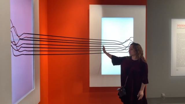 Выставка современного искусства в Санкт-Петербурге смотреть онлайн