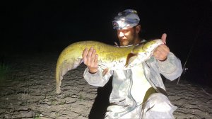 КЕМПИНГ И РЫБАЛКА. НОЧНОЙ ЖОР СОМОВ. САЗАН И ДРУГАЯ РЫБА. Астрахань.