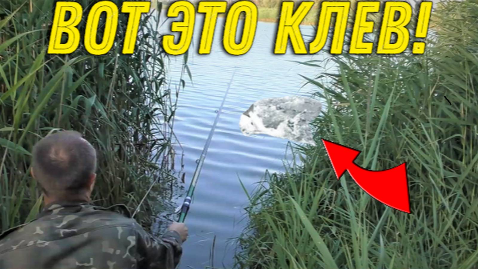 Вот Это РЫБАЛКА в КАМЫШАХ, Клюет Одна за Одной не Успеваю ВЫНИМАТЬ, давно Так не РЫБАЧИЛ!!! смотреть онлайн