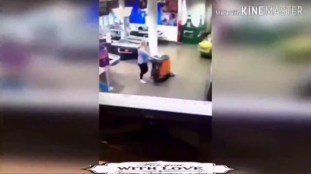 Смешные коты с озвучкой смотреть онлайн