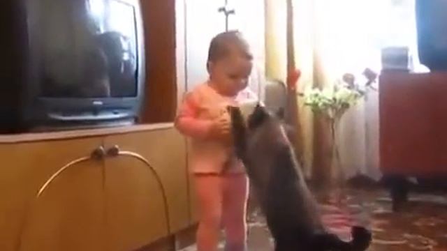 Смешное видео Прикол. Отдай моего котенка смотреть онлайн