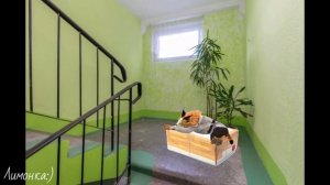 Короче говоря, сломался лифт ||WildCraft||